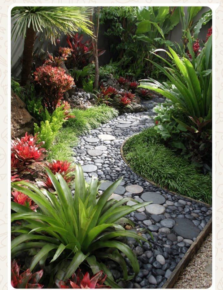 Cuchijardines 4